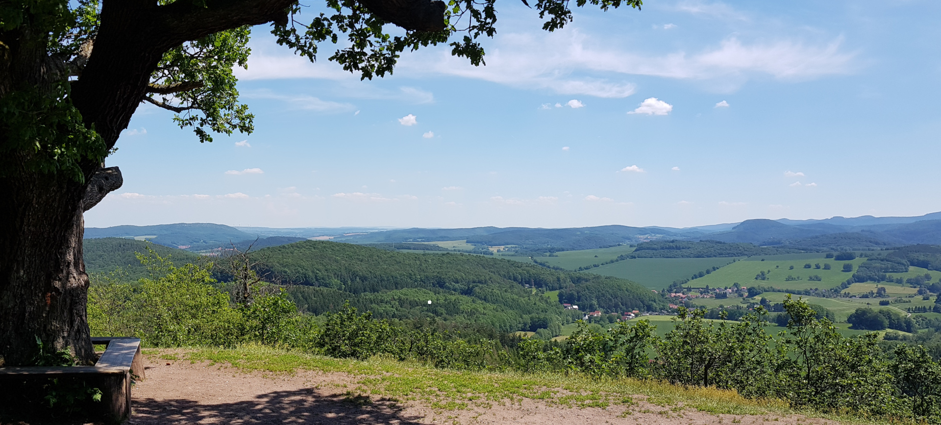 Thüringer-Wald-Blick Natur Coaching Thüringen